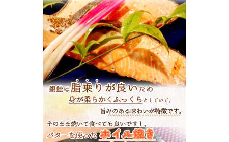 【毎月定期便】魚鶴お楽しみ海鮮4種セット(銀鮭切身・うなぎ蒲焼・銀だら切身・塩さばフィレ)全4回    / 銀鱈 さけ サバ だし うなぎ たら 魚 切り身 切身 魚 海鮮 焼き魚 ご飯のおとも おかず【tkb419】