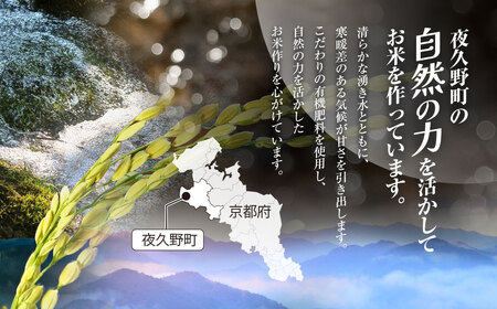 ＜令和7年産＞ 京都夜久野産 清雫(せいな) コシヒカリ 白米 (10kg) ふるさと納税 福知山市 令和7年度産 先行 定期便 選べる 容量 回数 白米 精米 夜久野 京都 【fc-DB006-C】【合同会社夜久野清雫】