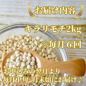 CIB28_【６回定期便】キラリモチ２ｋｇ もち麦 キラリ もち麦ごはん