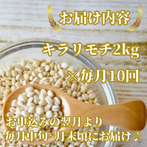 CIB31_【１０回定期便】キラリモチ２ｋｇ もち麦 キラリ もち麦ごはん