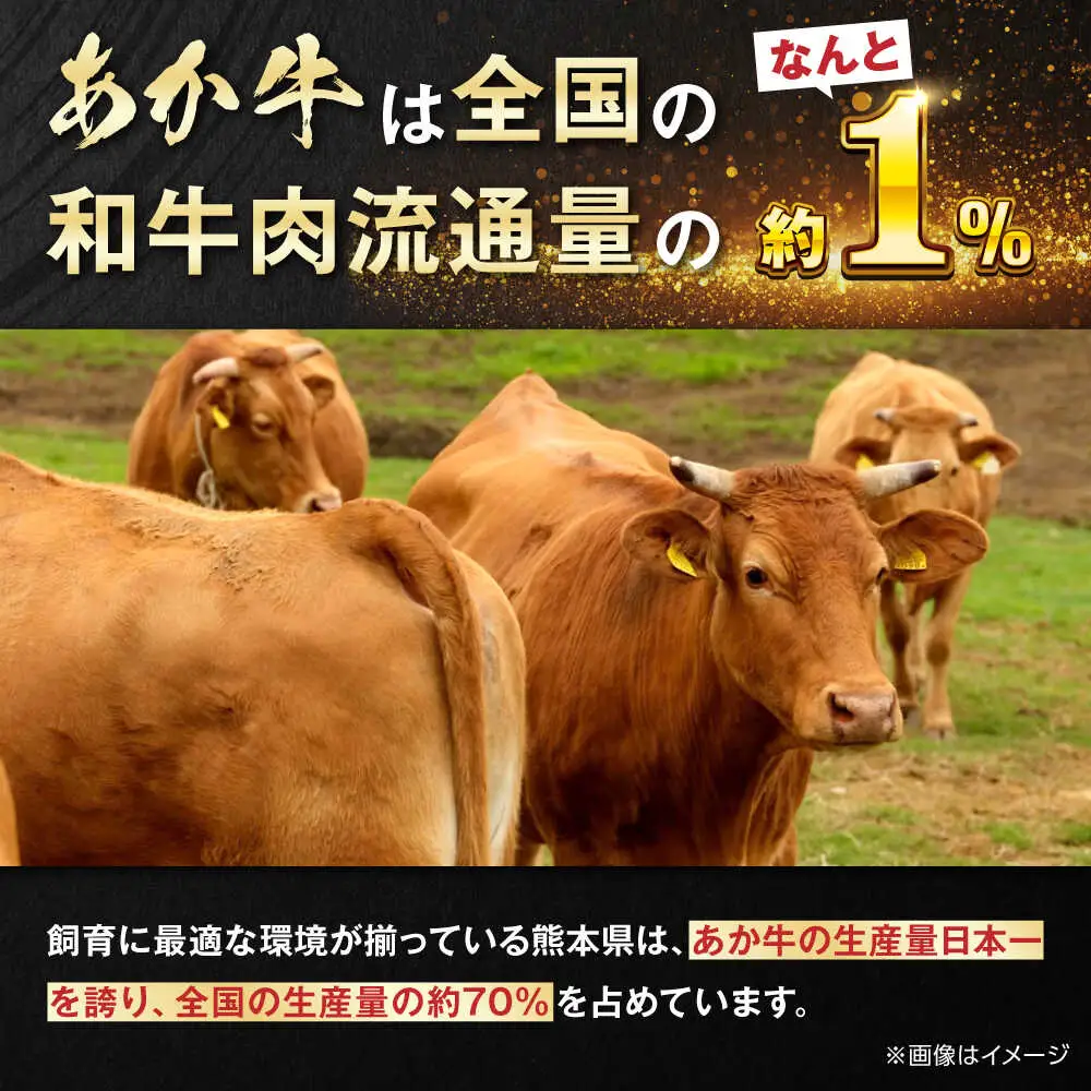 【GI認証】くまもとあか牛リブロースステーキ 約200g×3枚 和牛 ステーキ 熊本県 [AYCQ014]