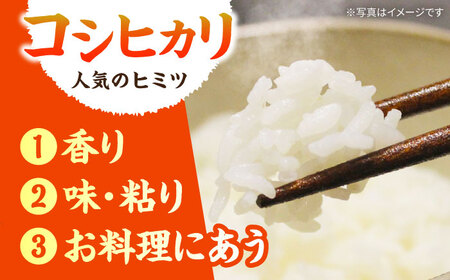 おいしい！亀山・白川産コシヒカリ 5kg 亀山市/せせらぎの里営農組合 お米 コシヒカリ 送料無料[AMAX003]