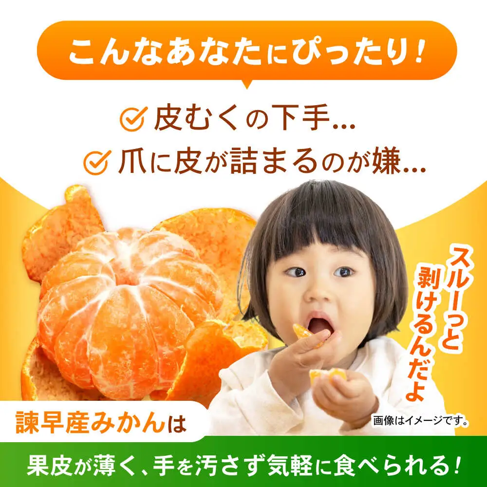 諫早産みかん 10kg / みかん ミカン 蜜柑 フルーツ ふるーつ 果物 くだもの 10kg / 諫早市 / 松尾農園 [AHAY028]