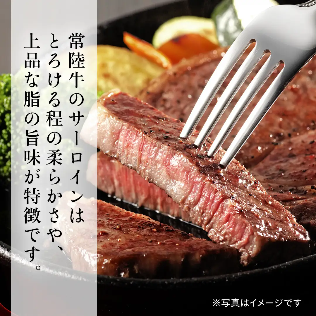【 常陸牛 】サーロイン ステーキ 600g  (AP004)
