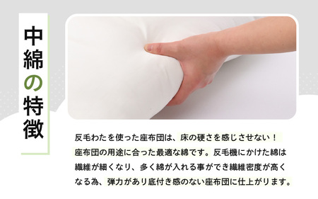 床の硬さを感じにくい「反毛わた」座布団 武田菱（銘仙判55cm×59cm）1枚【グリーン】 [A-20419_01]