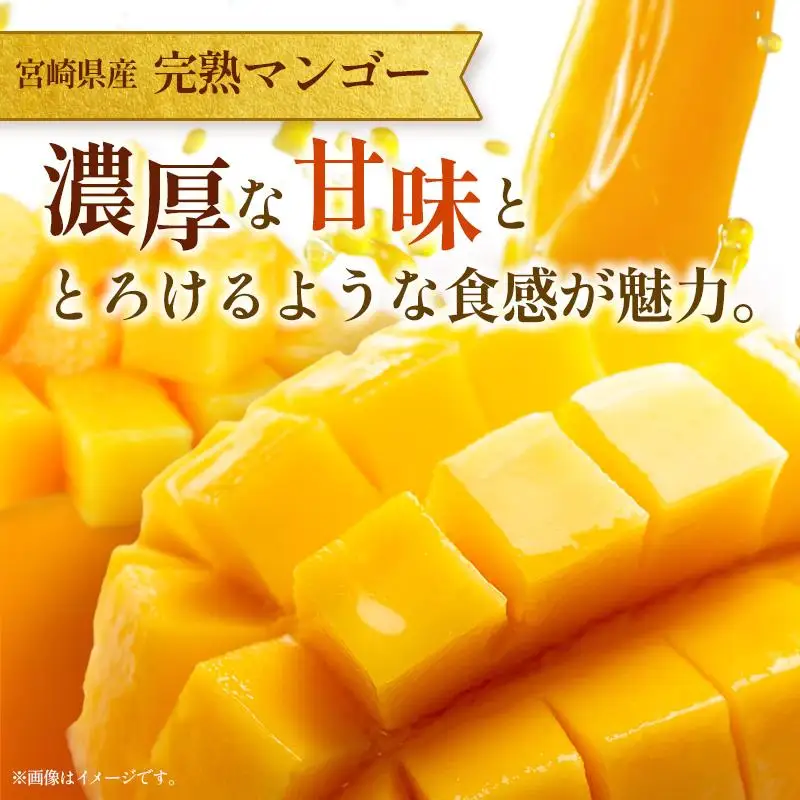 ＜2027年発送＞＜訳あり＞ 完熟 マンゴー 約1kg ＆ 生ライチ 300g 果物 フルーツ 宮崎県産 特産 セット