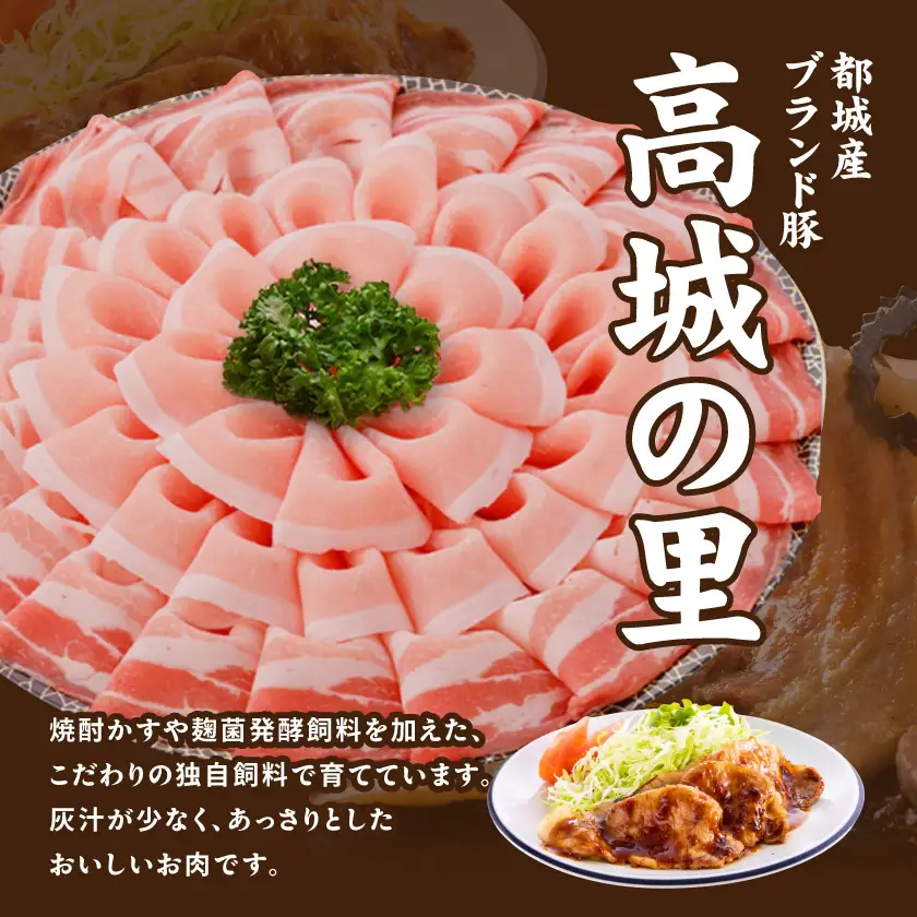「高城の里」わくわく4.1kgセット(真空)≪みやこんじょ快速便≫〔22-84-001-4100g-R〕_(都城市) リピーター続出 豚肉 都城産豚 高城の里 しゃぶしゃぶ バラ 焼肉 切り落とし 肩ローススライス ロース とんかつ ブランド豚