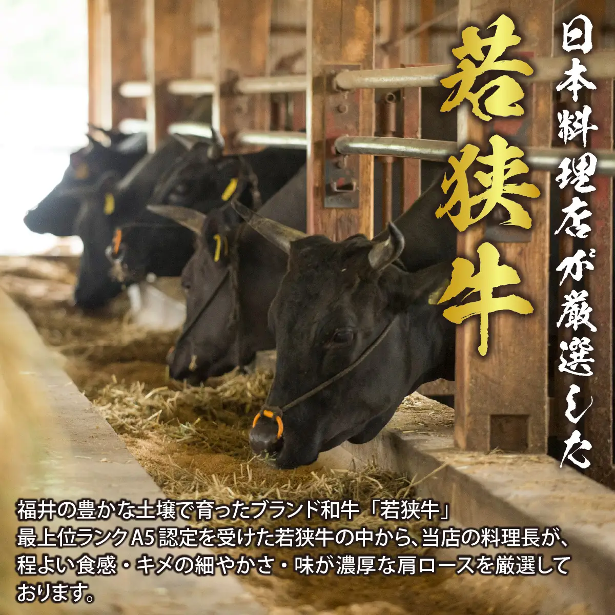 若狭牛A5ランク すき焼きセット（肩ロース500g 特製割下300ml）約2～3人前 [B-085008]