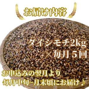 CIB40_【５回定期便】ダイシモチ２ｋｇ もち麦 キラリ もち麦ごはん