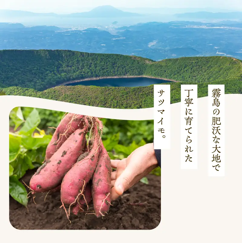 ノンフライ 芋 チップス K300-009