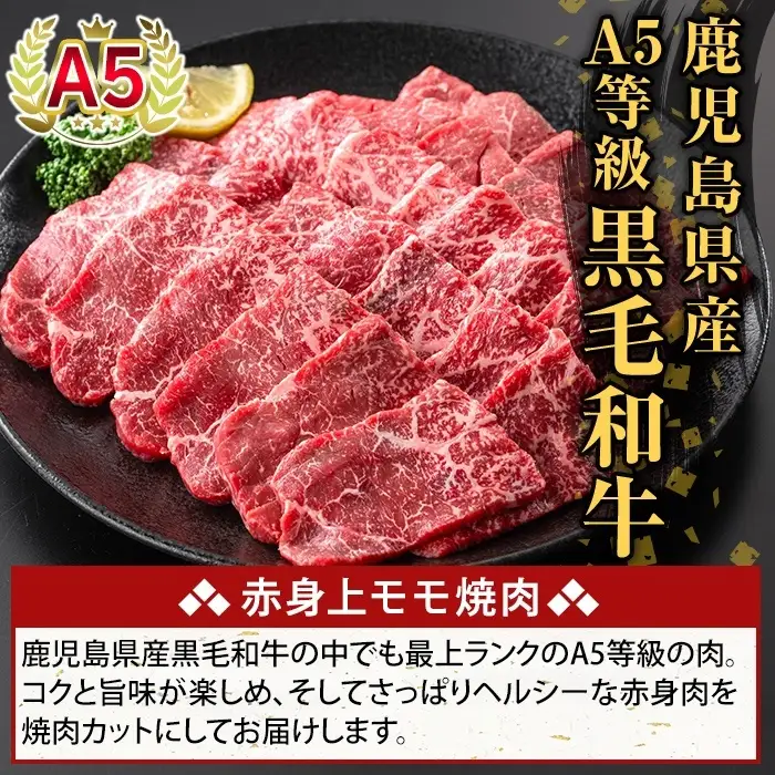 K-483-B 鹿児島県産A5等級黒毛和牛赤身上モモ焼肉(計500g)【ふるさと産直バザール】霧島市 牛肉 国産 鹿児島県産 モモ 焼肉 肉 精肉