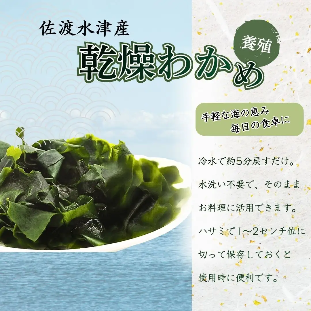 乾燥わかめ 100g 3袋| 養殖 新潟県 佐渡市 ワカメ