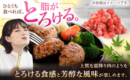 ひき肉 沖縄県産豚肉 豚ミンチ 粗挽き 約1.8kg (200g×9P)  BCAJ008 豚肉