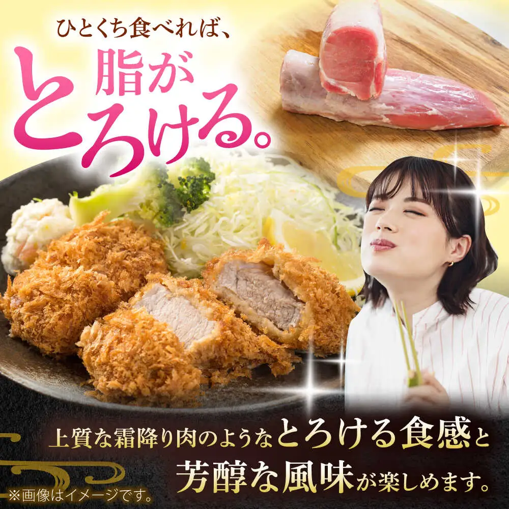 【高級部位】 ヒレ肉 3本入り 豚肉 BCAJ012