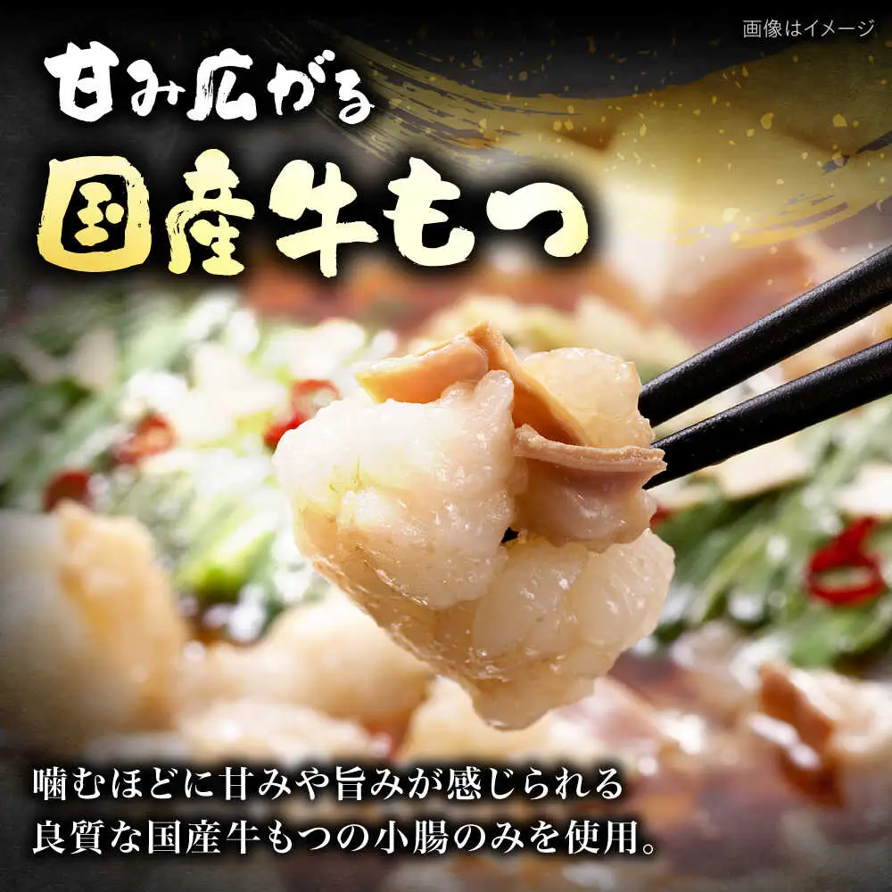 【ギフト用】博多明太もつ鍋（醤油味）3人前 [VEC013]