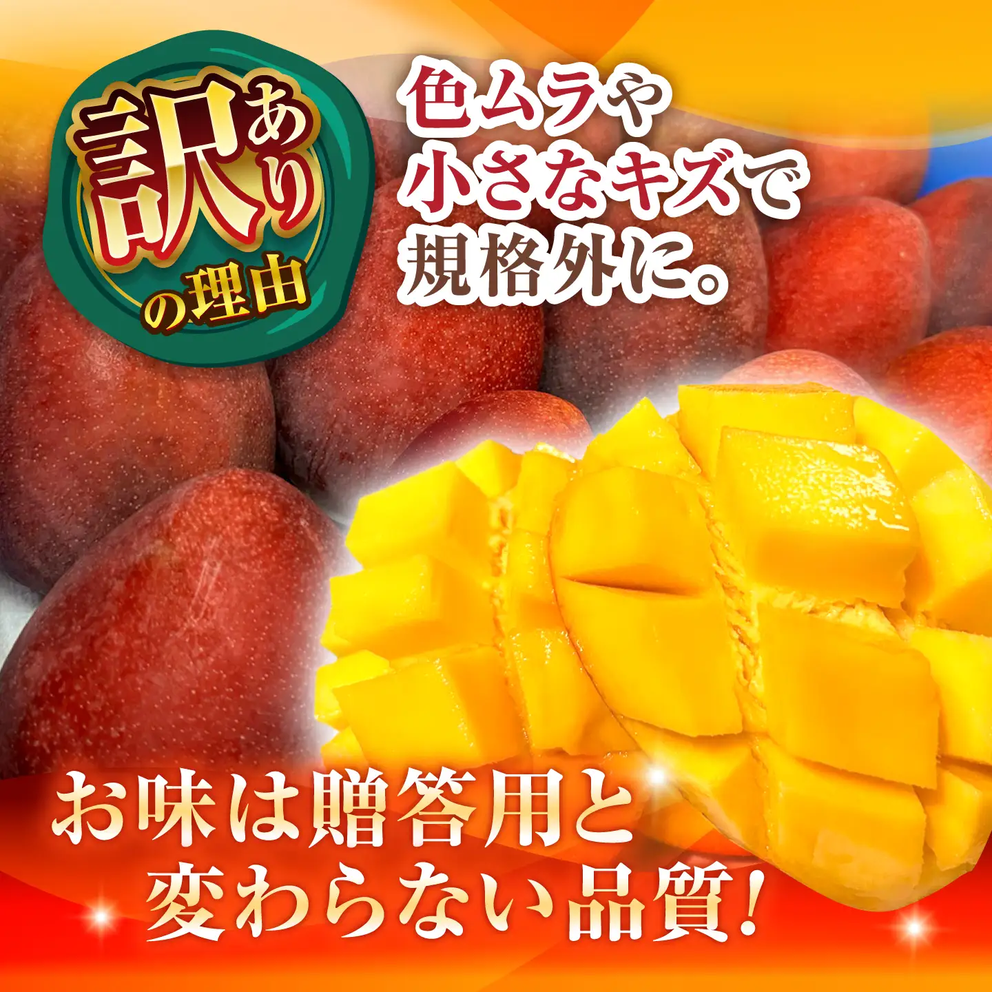 マンゴー 訳あり 約1kg マンゴー 沖縄 BCAN003