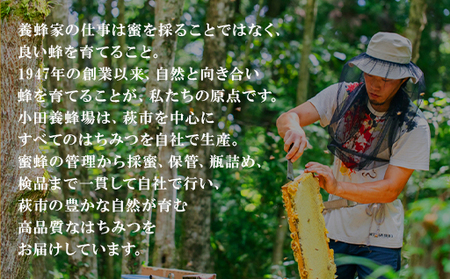 純粋天然 百花はちみつ 600g×4本