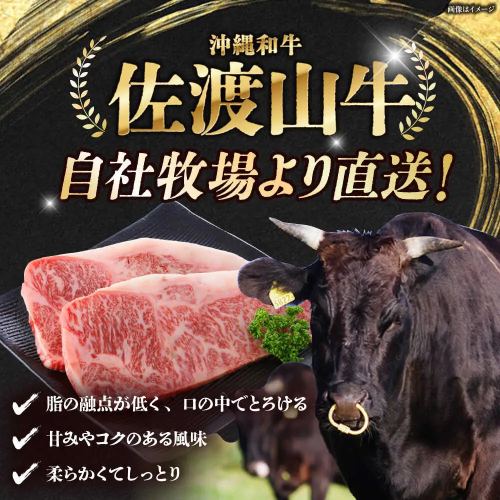 牛肉 ステーキ 【全3回定期便】佐渡山牛 500g 和牛 BCBC005