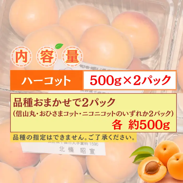 【2027年先行予約】あんず おまかせ生食用(ハーコット・信山丸・おひさまコット・ニコニコット) 計約2kg  | あんず