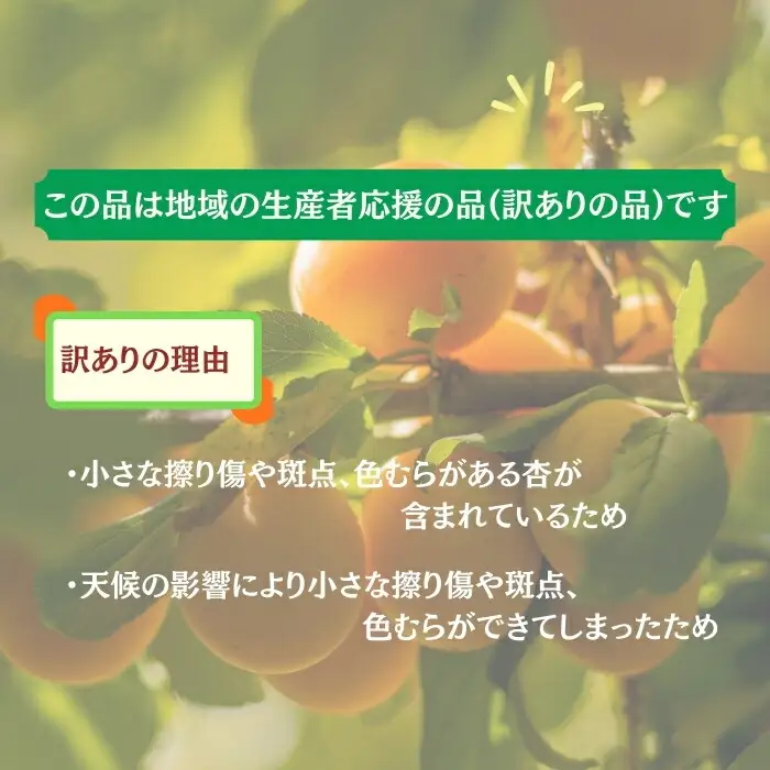 【2027年先行予約】訳あり あんず おまかせ加工用 計約2kg（約500g×4パック）| あんず