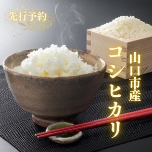 D569 農家直送！山口市産新米「コシヒカリ」精米10kg
