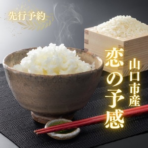 D567 農家直送！山口市産新米「恋の予感」精米10kg