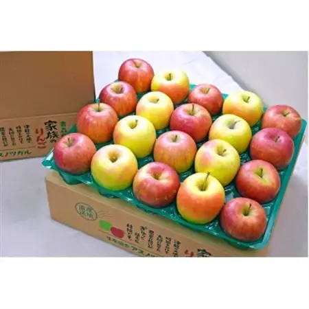 【26年11月出荷予定】糖度13度以上保証! ぐんま名月×シナノスイート 約5kg 訳あり_果物・フルーツ りんご  リンゴ 林檎_【配送不可地域：離島・沖縄県】【1613011】