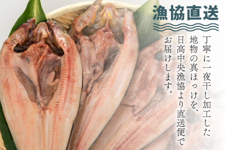 漁協直送！開き真ホッケ一夜干し(特大)400g前後×3枚 [02-526]
