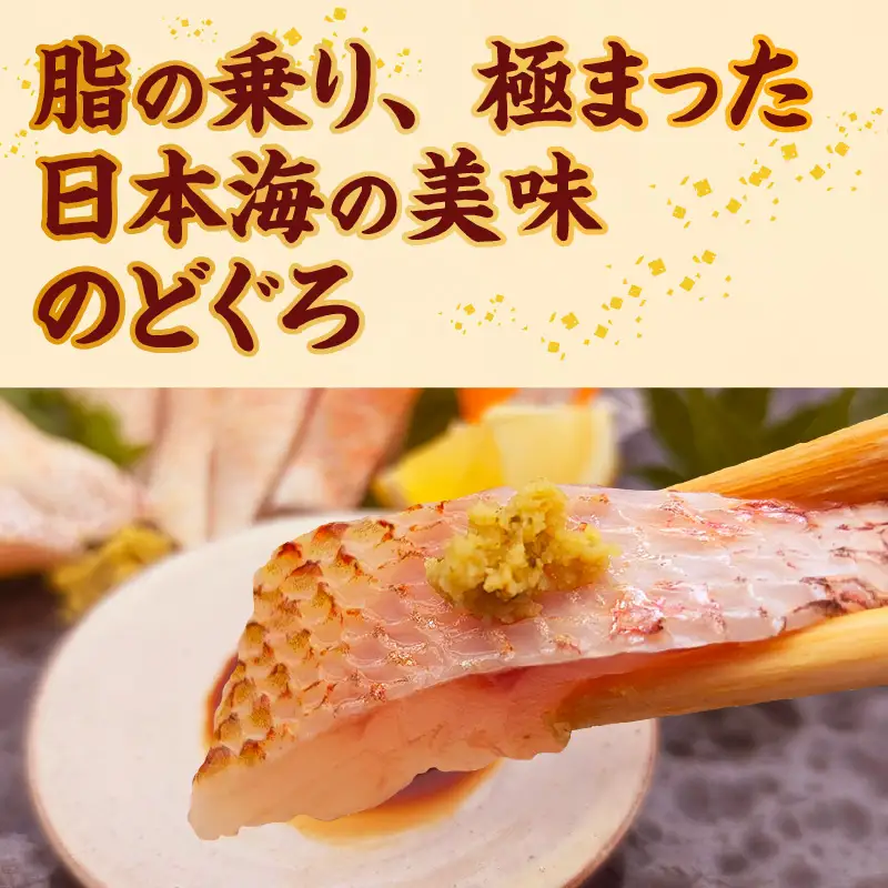 山陰のお刺身用魚3点セット 生サバ のどぐろ ハタハタ 冷凍 海鮮 74-01
