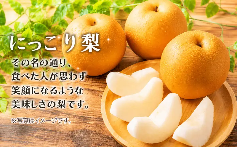 梨 にっこり 5kg 2026年産 先行予約 