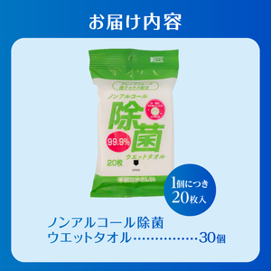 ウエットタオル ノンアルコール除菌 20枚入 30個 除菌 衛生 植物由来除菌成分 厚手 不織布 携帯用 お手拭き アウトドア 防災 備蓄 日用品 消耗品 生活用品 富士市 [sf002-405]