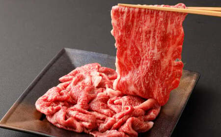 【A4・A5】博多和牛 リッチな切り落とし 約300g×2 計約600g 肉 牛肉 和牛 切り落とし 切り落とし肉 牛丼 国産 福岡県 九州