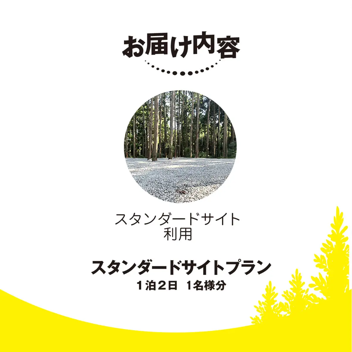 Render Fika スタンダードサイトプラン（1泊2日）【 ふるさと納税 人気 おすすめ ランキング 貸切露天風呂 お風呂 温泉 キャンプ 癒し バーベキュー 大自然 宿泊 千葉県 山武市 送料無料 】 SMCJ003