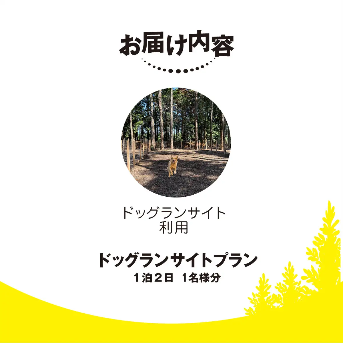 Render Fika ドッグランサイトプラン（1泊2日） 【 ふるさと納税 人気 おすすめ ランキング ドッグラン ペット 運動 施設 大自然 宿泊 千葉県 山武市 送料無料 】 SMCJ004