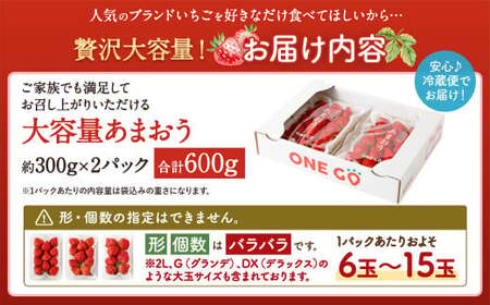 【予約受付】選べる大容量あまおう 600g 大粒 不揃い 選べる大容量あまおう （2L,グランデ,DX デラックス）減農薬 あまおう いちご 高級 いちごあまおう イチゴ 苺 フルーツ 果物 ふるさと納税くだもの amaou 福岡県 【2027年3月上旬～下旬発送予定】