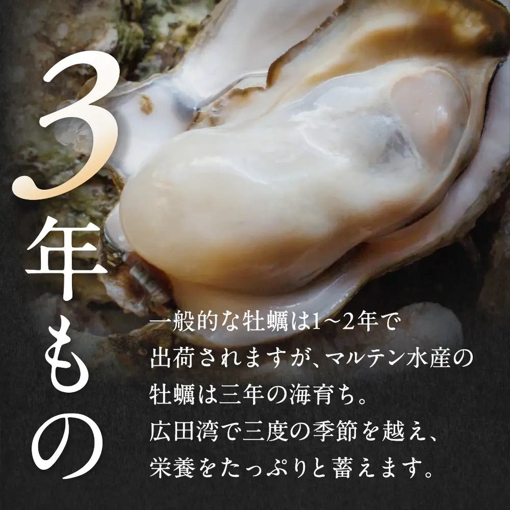 【先行予約】 訳あり 牡蠣 殻付き牡蠣 約3kg 【 三陸産 旬 産地直送 】