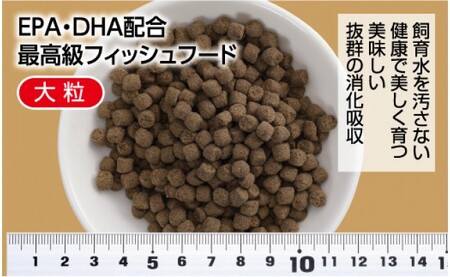 錦鯉貴族 F 1kg 沈降性 