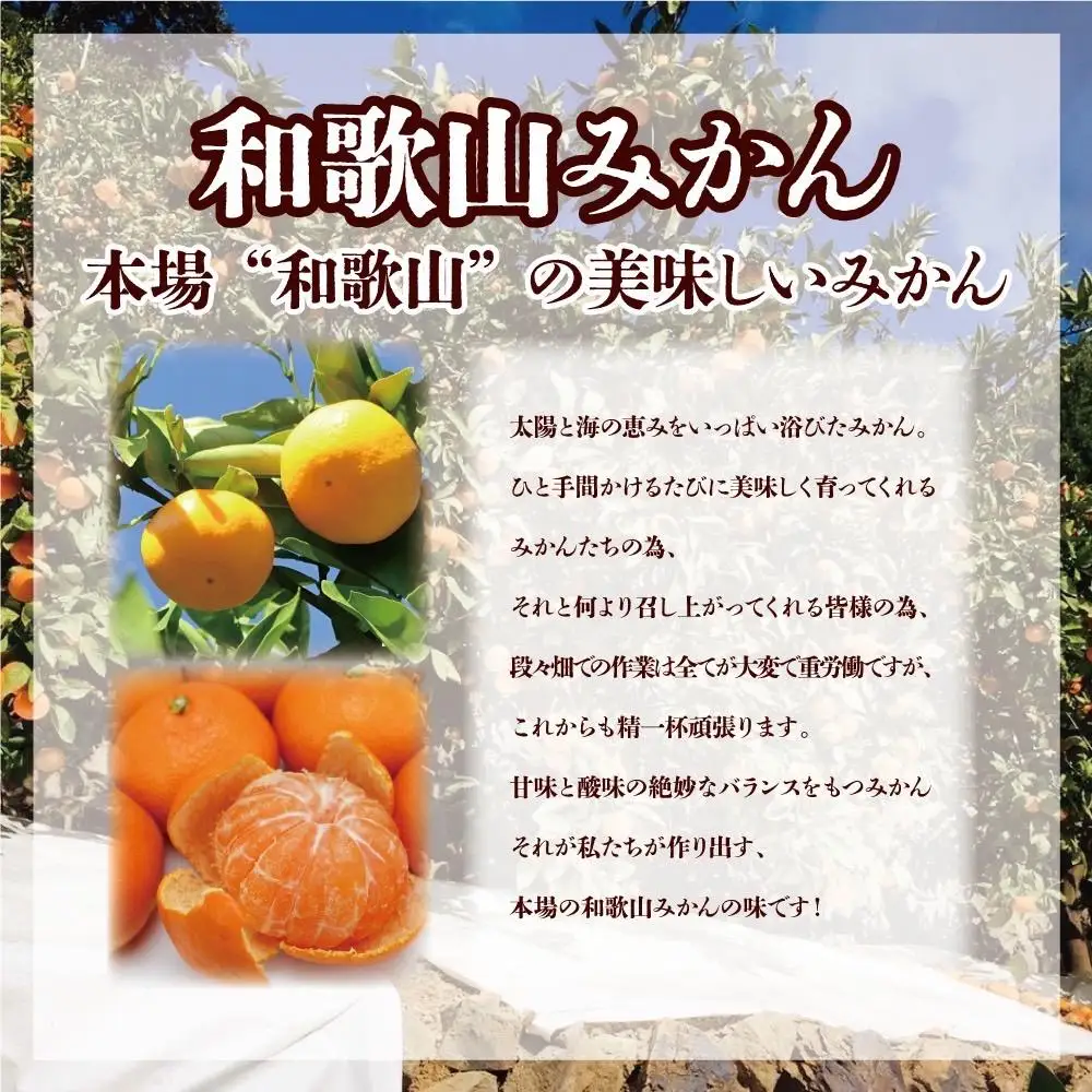 【訳あり】和歌山みかん約9.5kg+補償分約500g サイズ混合 11月より順次発送 訳ありみかん 【red1】