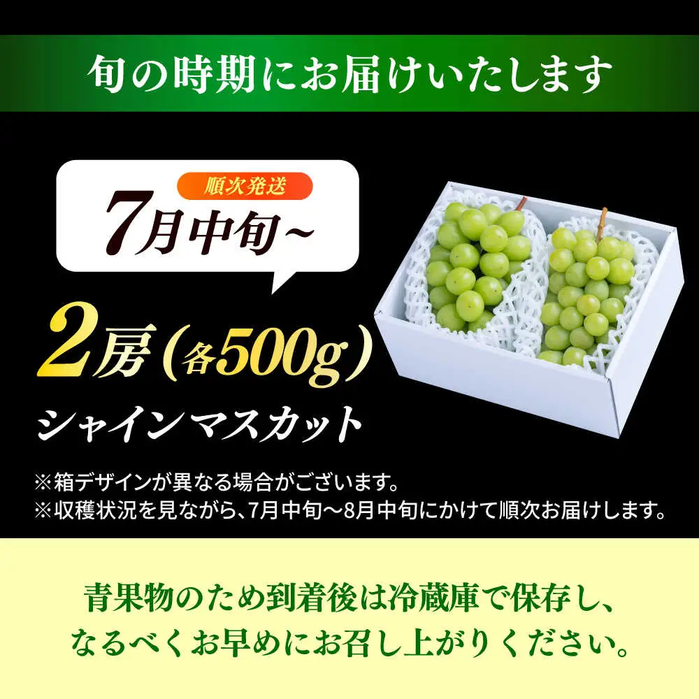 シャインマスカット2房(約1kg) [ARET002] シャインマスカット 