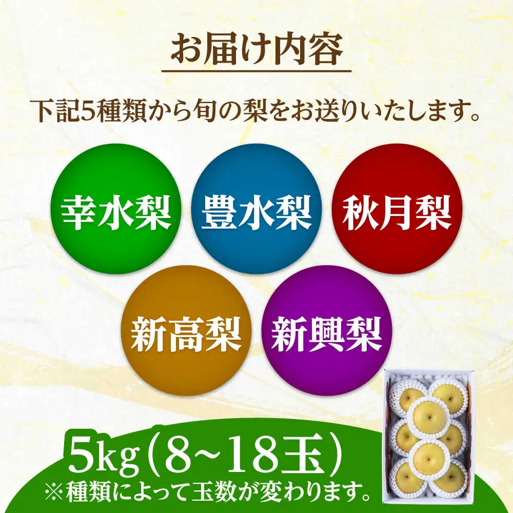 【先行予約】日田梨 約5kg 旬の梨 果物【配送不可地域：離島】 [ARET008]