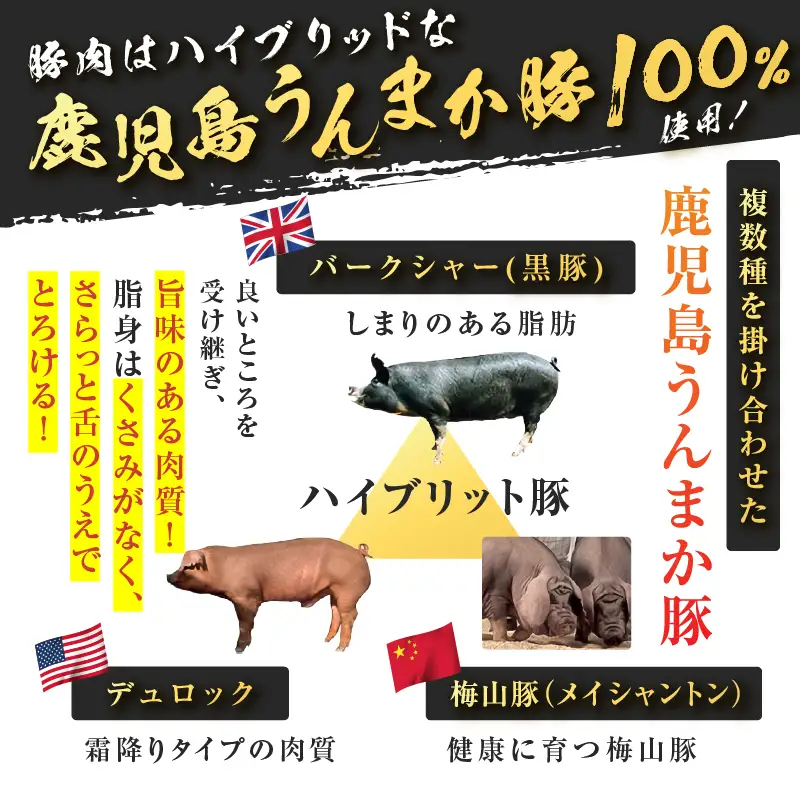 鹿児島うんまか 豚 生餃子 9パック（ 餃子 108個入り・ タレ付 ） K005-003_02 肉 豚肉 惣菜 総菜 冷凍