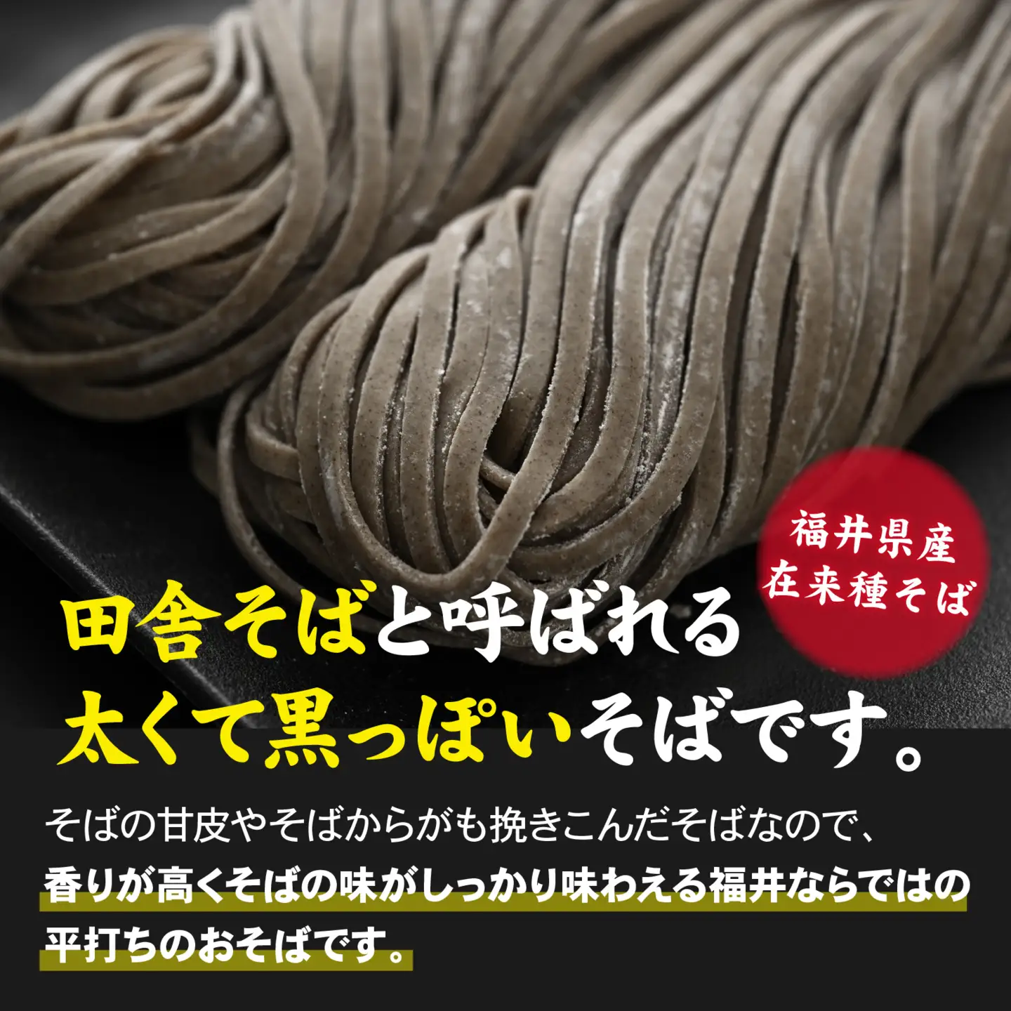 越前のそば（なまそば）６食　そばつゆ付き / 越前そば そば 蕎麦 ソバ 冷蔵 送料無料 [A-146001]