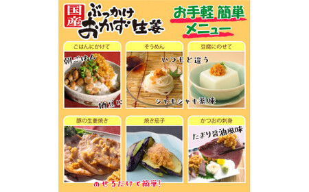 国産ぶっかけおかず生姜 5袋 おかず ご飯のお供 ご飯 ごはん 生姜 国産 常温 栃木県 壬生町