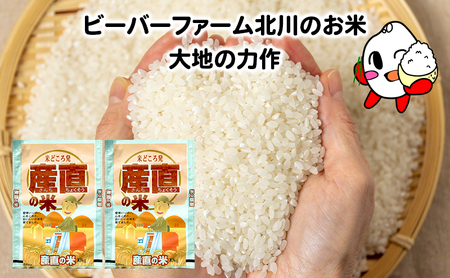 ななつぼし 北海道産 精米 ななつぼし【20kg】