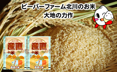 ななつぼし 北海道産 玄米 ななつぼし【20kg】
