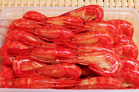 北海しまえび500g×1P B-14127