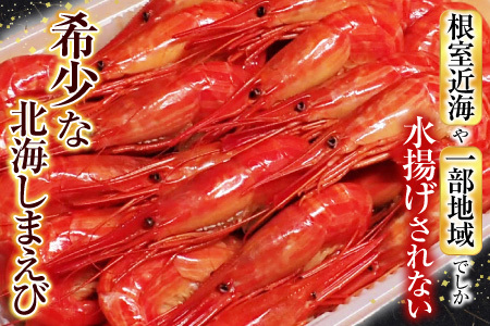 根室海鮮市場＜直送＞北海しまえび500g×1P B-28127