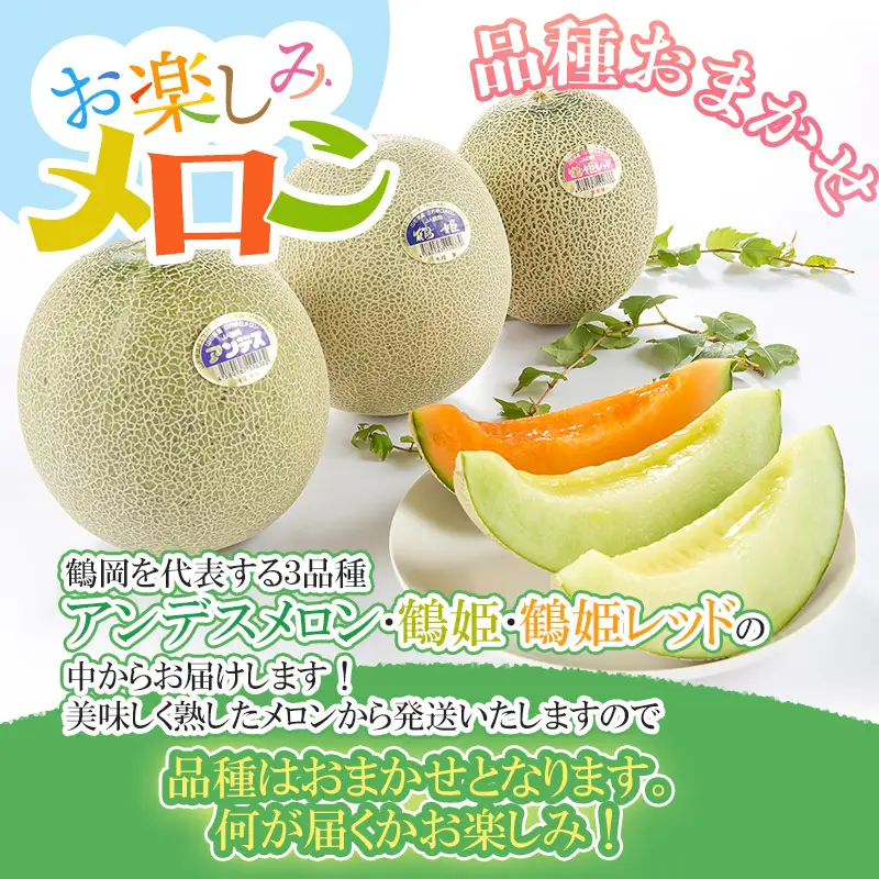 お楽しみメロン 2Lサイズ3玉セット 山形県鶴岡市産 令和9年産 JA鶴岡 K-936