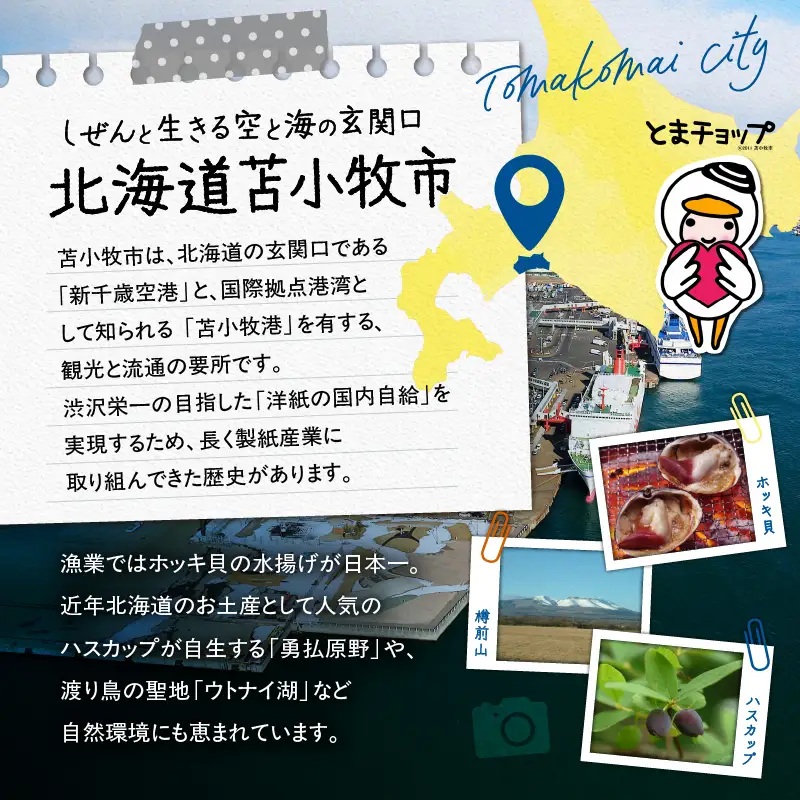 北海道 苫小牧市 応援寄附金 （ 返礼品なし ） 10,000円 T000-001-03 応援 返礼品無