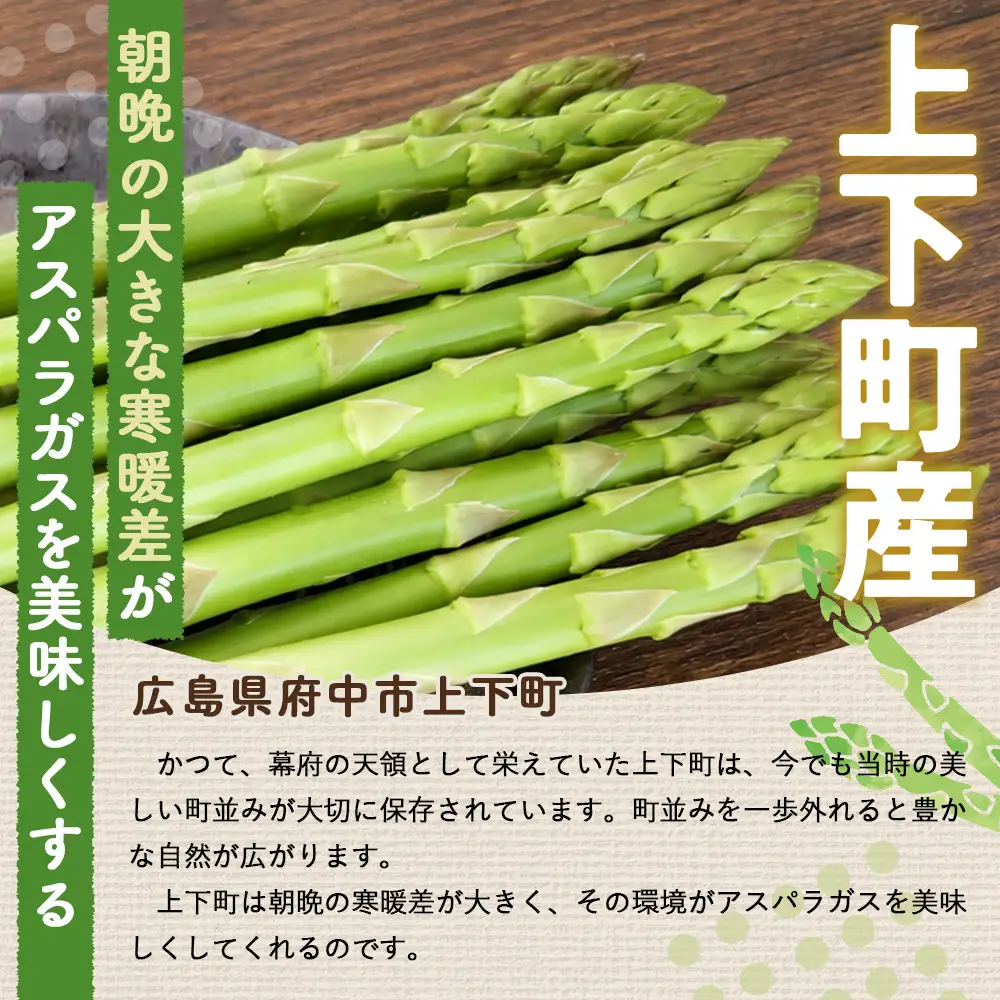 上下七色農園 アスパラガス　2L・Lサイズ　ダンボール（1.2kg） No.1095